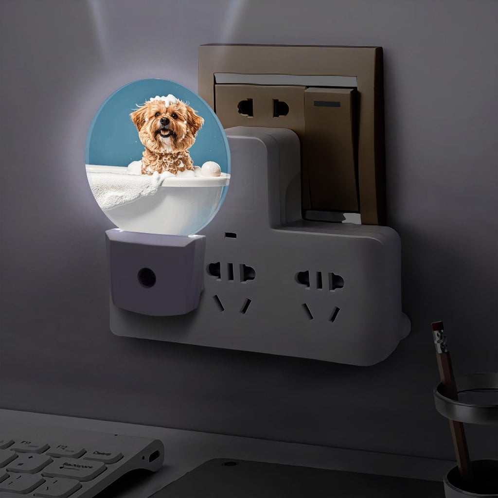 Plug-in Wall Night Light B33328