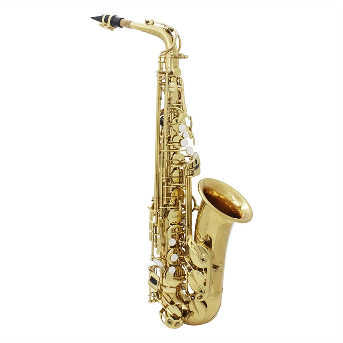 Alto Saxophone Brass Instrument M5589