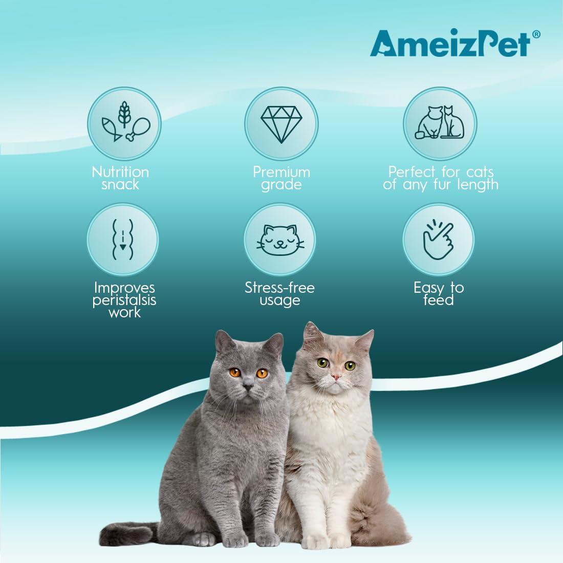 Anti Hairball Cat Biscuits 2.82 oz M309