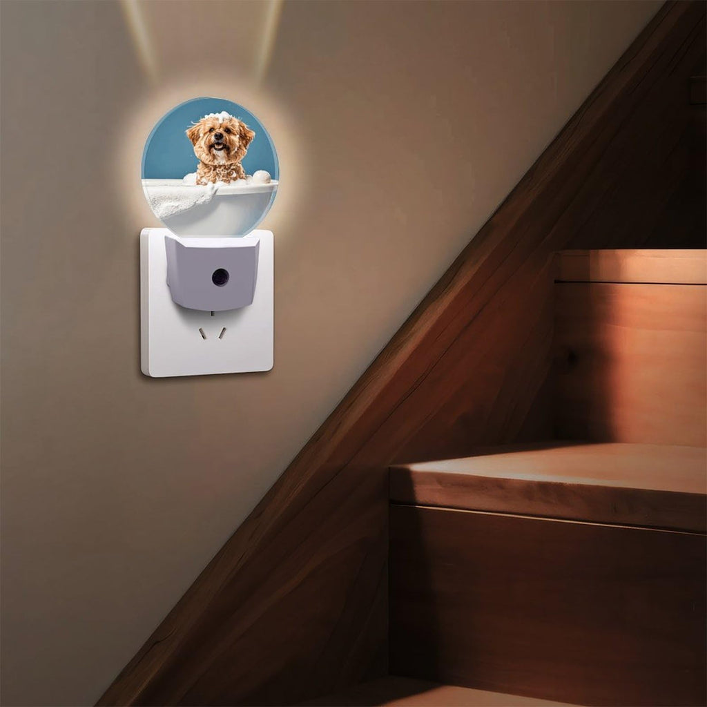 Plug-in Wall Night Light B33328