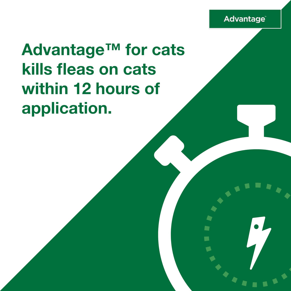 Topical Cat Flea Treatment and Prevention for Large Cats Over 9 lbs U862