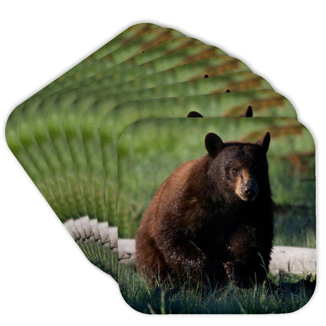 Set of 8 Cork Coasters D798