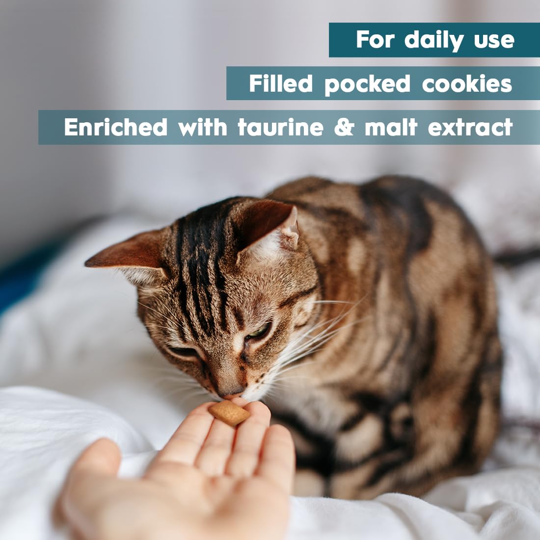 Anti Hairball Cat Biscuits 2.82 oz M309