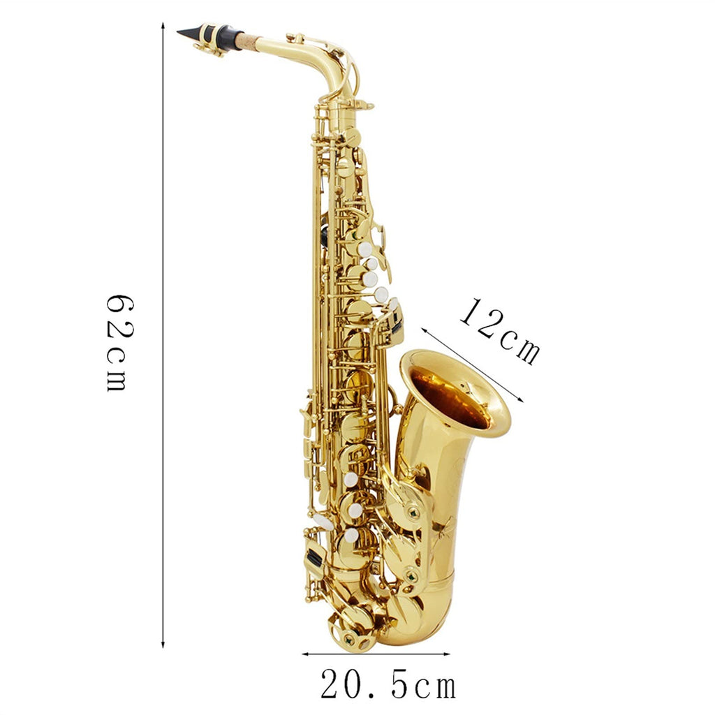 Alto Saxophone Brass Instrument M5589