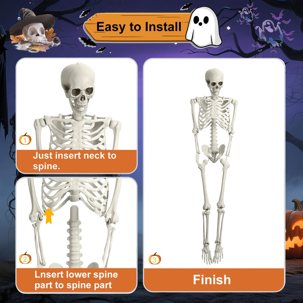 5.4FT Posable Life Size Skeleton U336