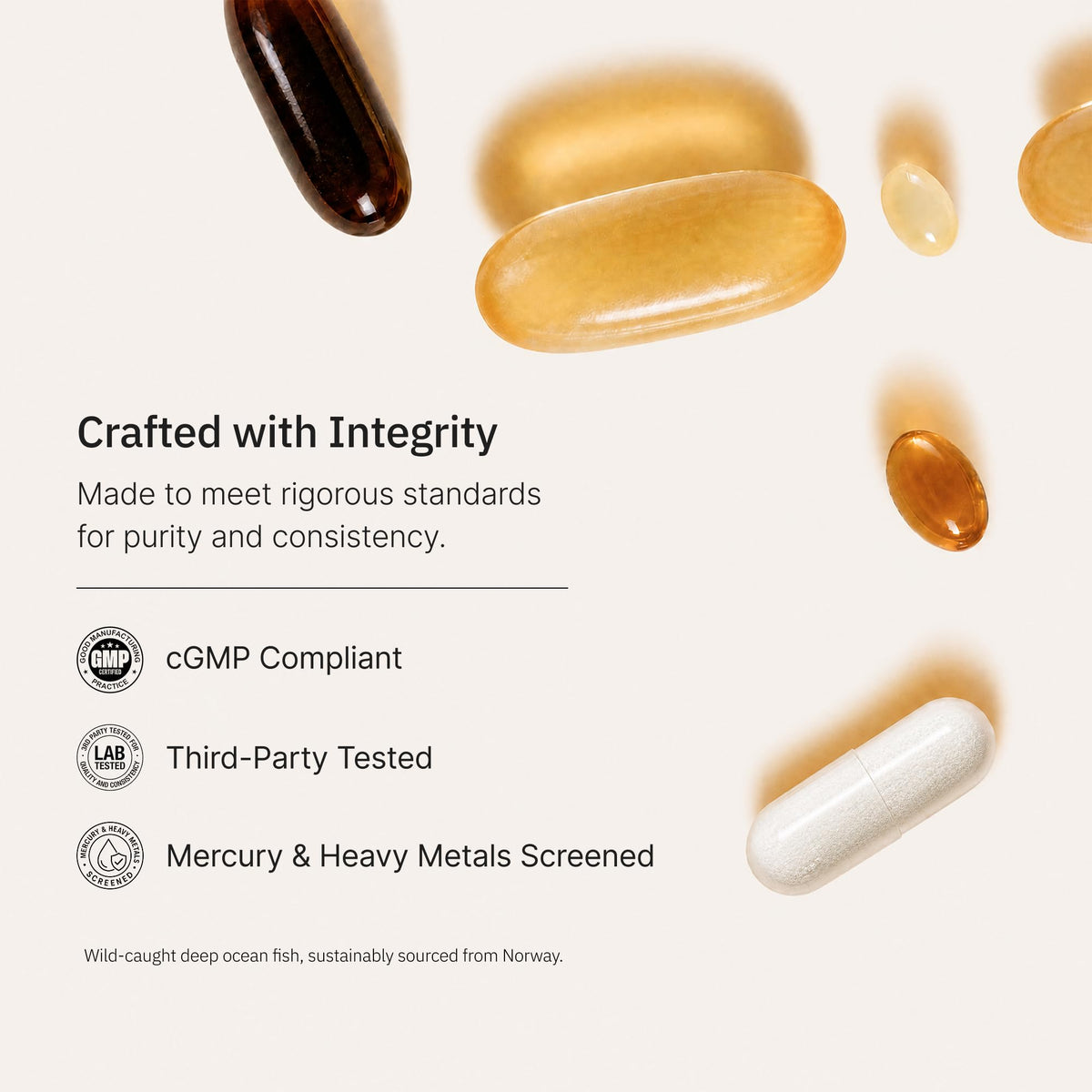 Omega-3 Fish Oil 1000mg 240 Softgels Q864