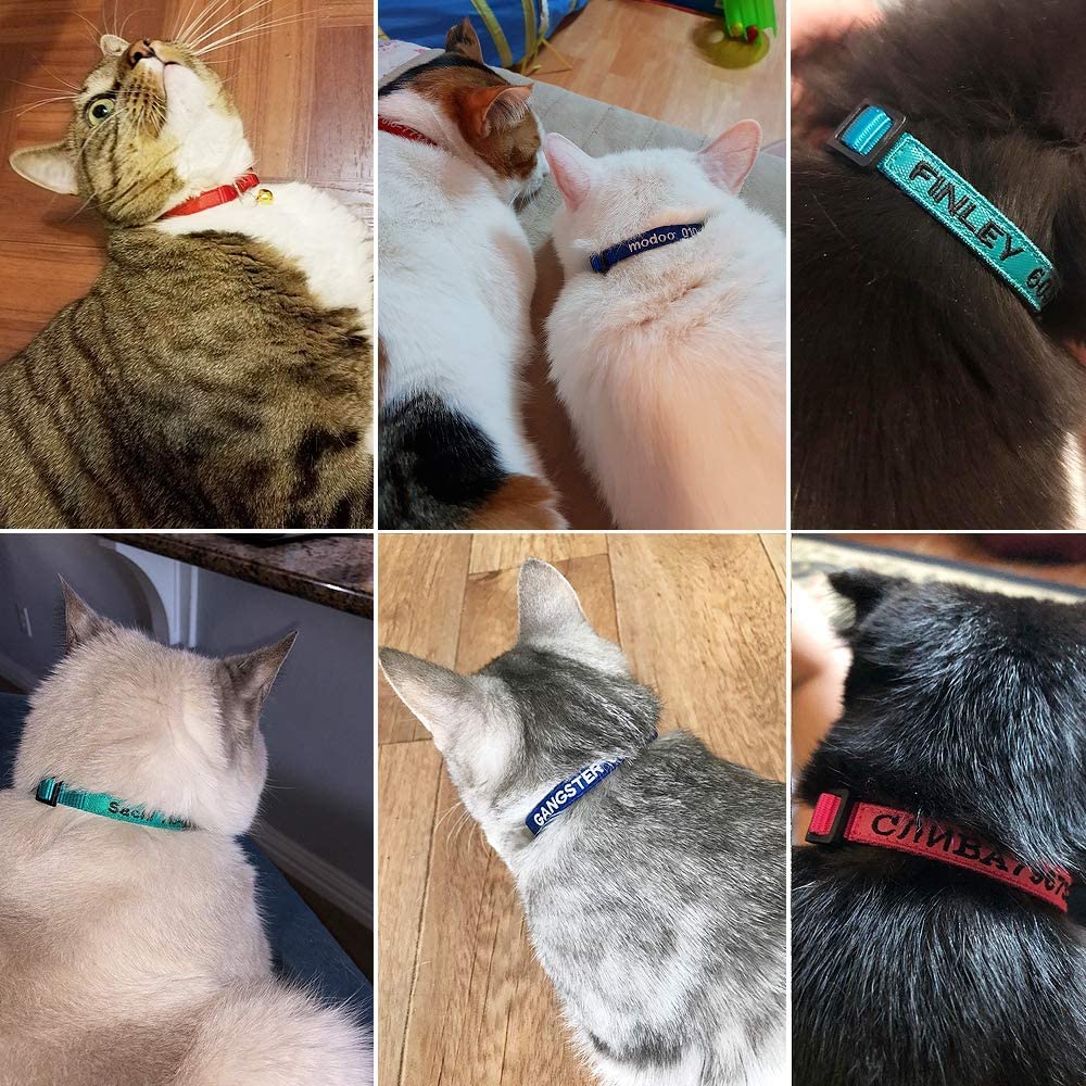 Nylon Cat Collar Breakaway with Bell T7301