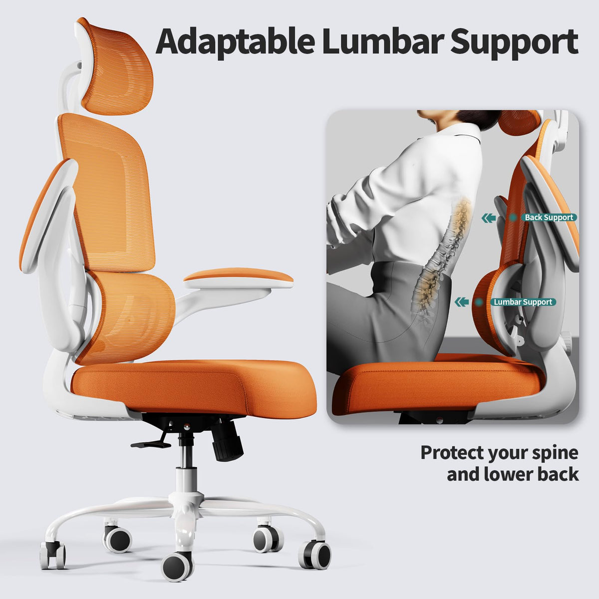 Ergonomic Office Chair with Lumbar Support C90437