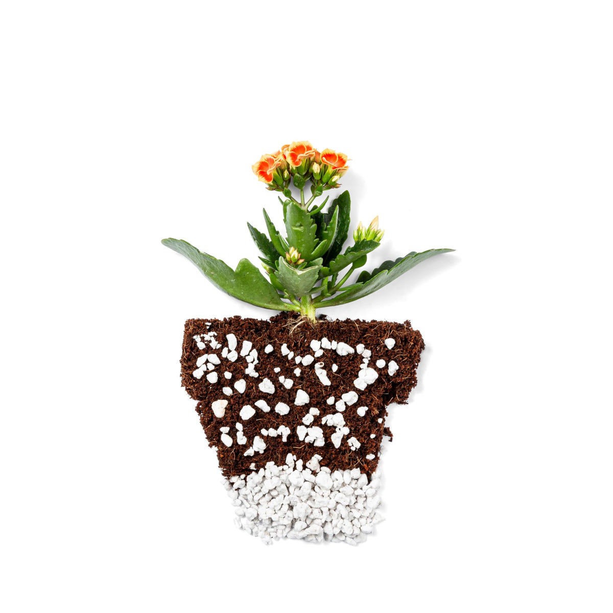 4 Cubic Ft Organic Perlite Soil Amendment R9013