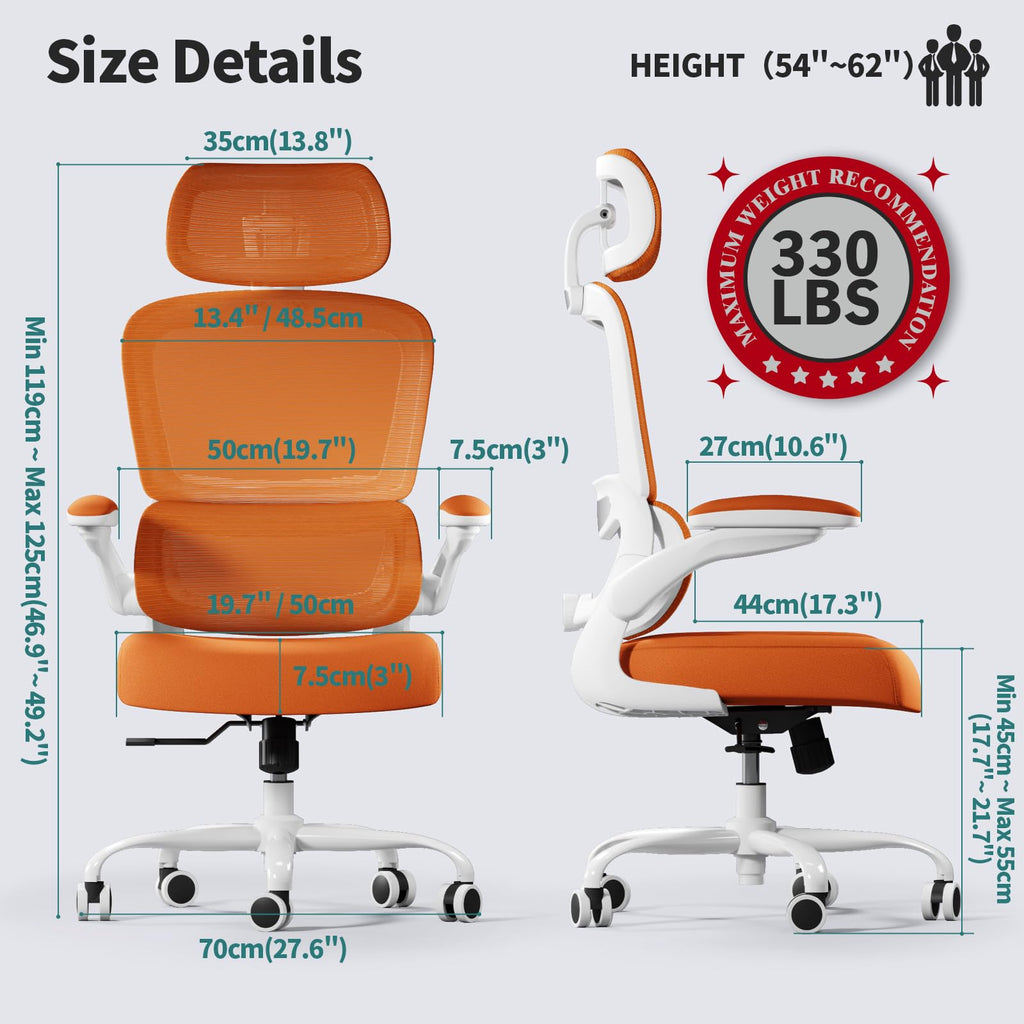 Ergonomic Office Chair with Lumbar Support C90437