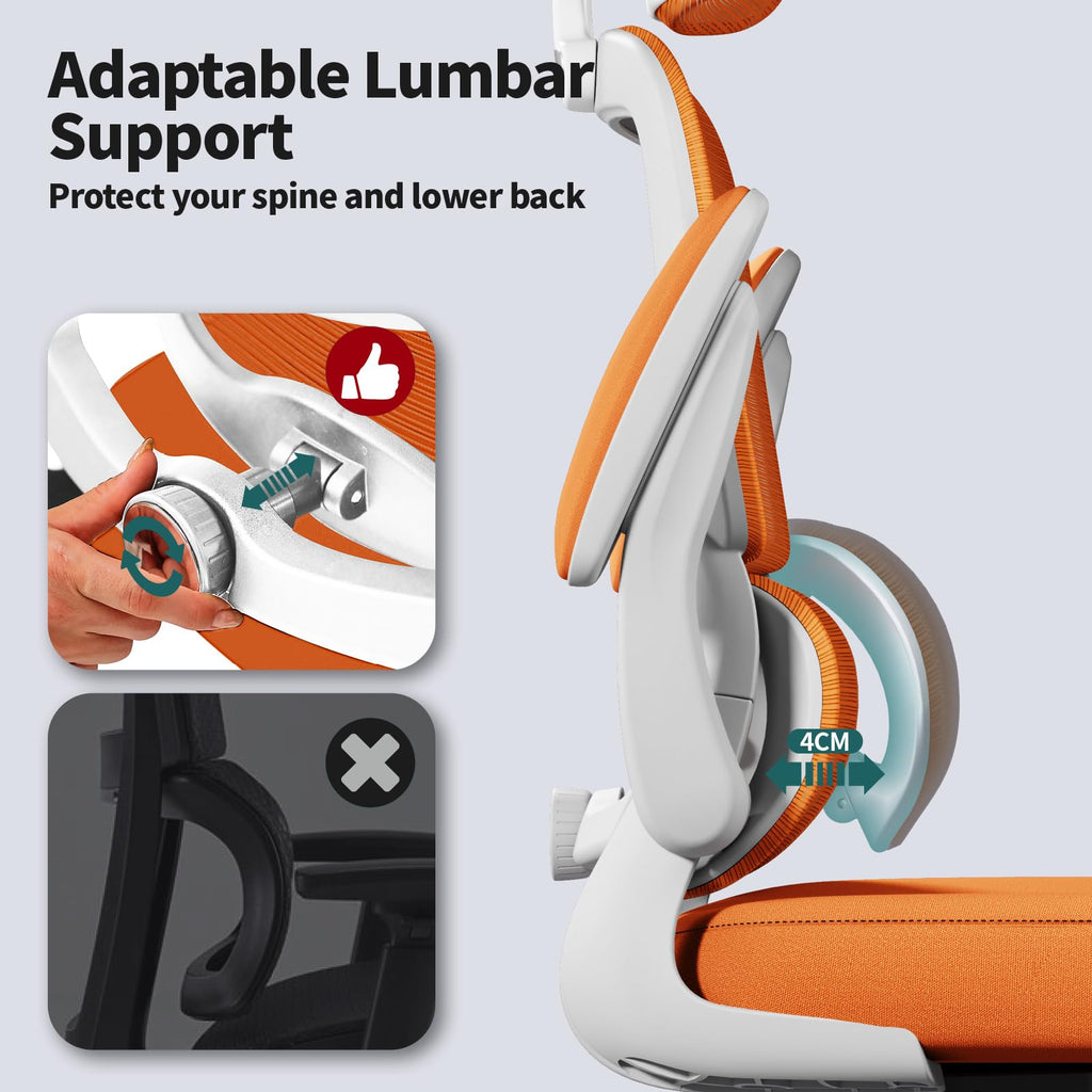 Ergonomic Office Chair with Lumbar Support C90437