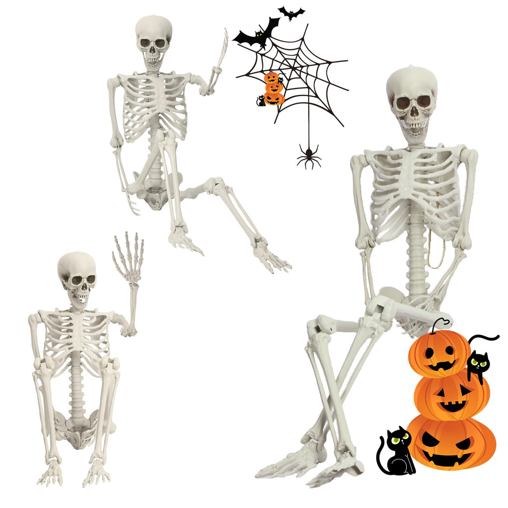 5.4FT Posable Life Size Skeleton U336