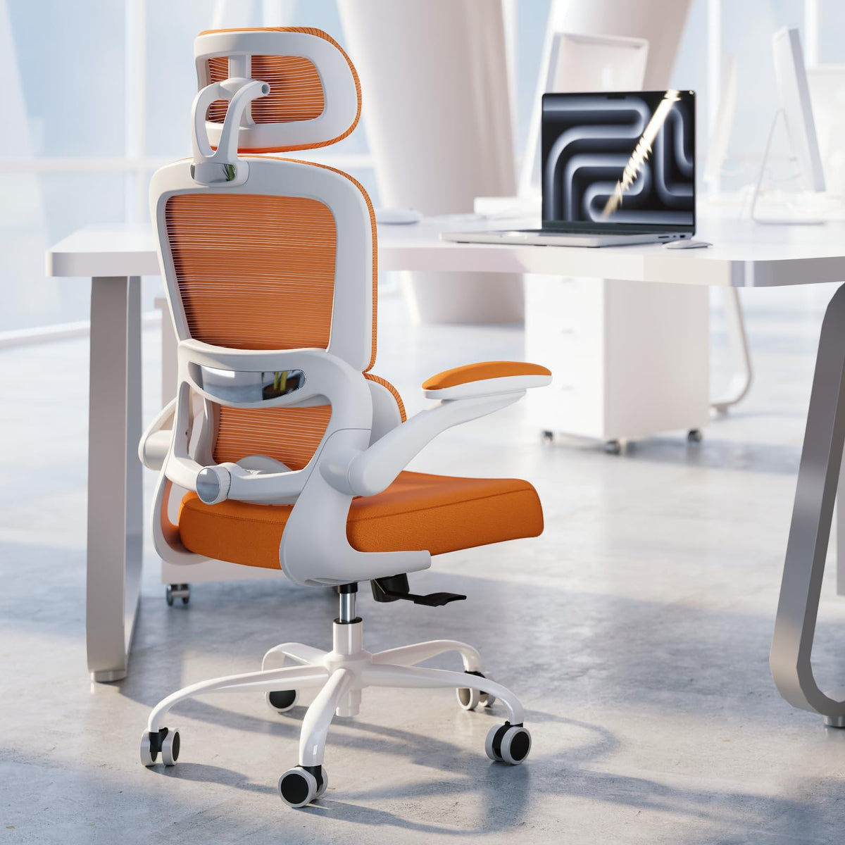 Ergonomic Office Chair with Lumbar Support C90437