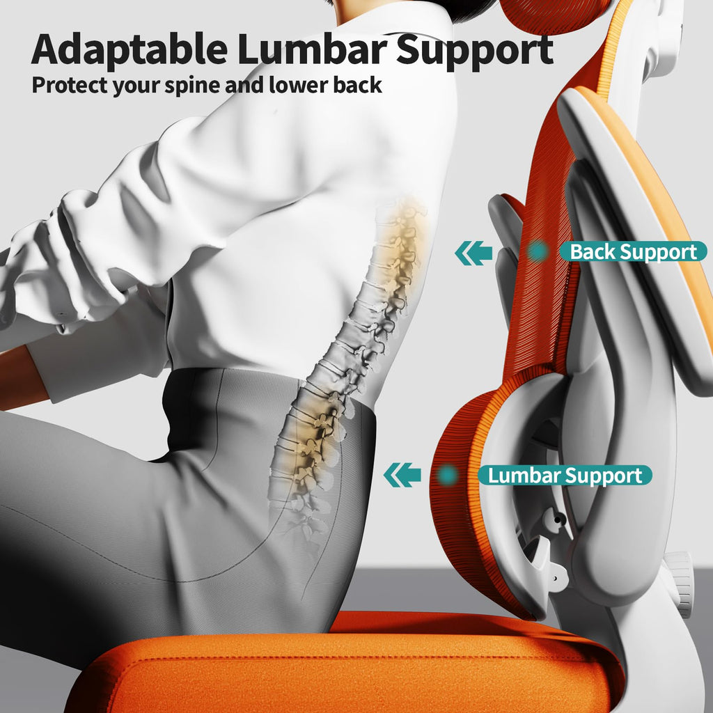Ergonomic Office Chair with Lumbar Support C90437