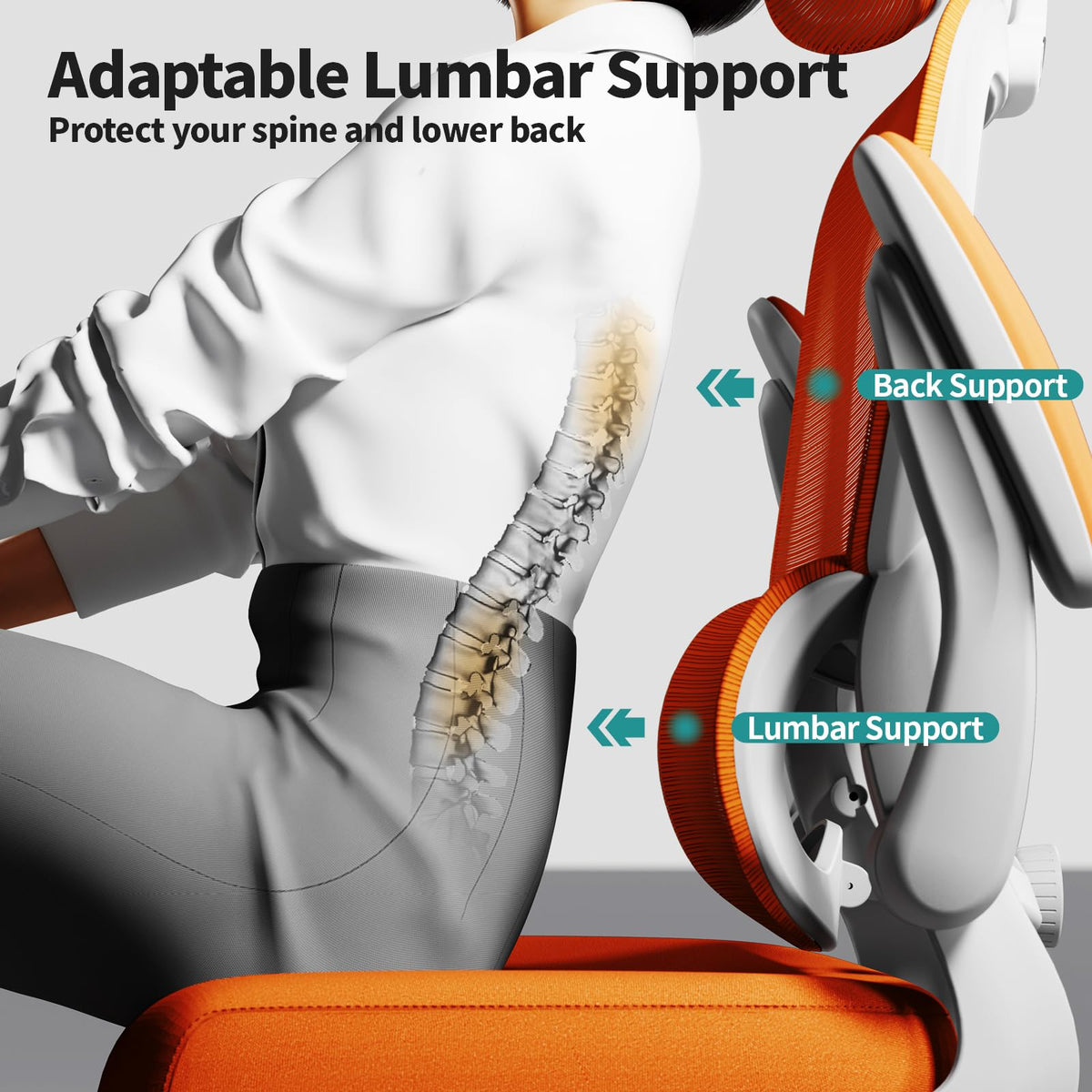 Ergonomic Office Chair with Lumbar Support C90437
