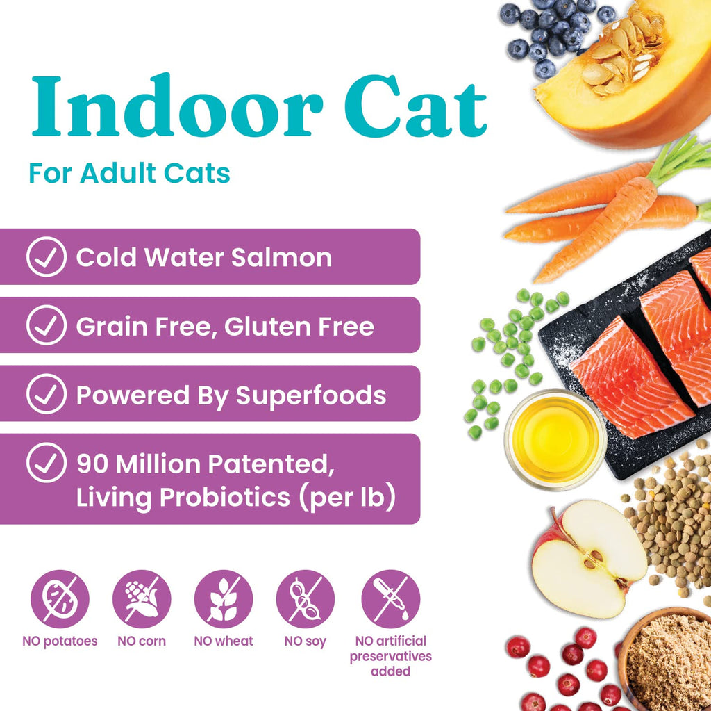 Salmon Dry Cat Food and Wet Cat Food Variety Pack K311617