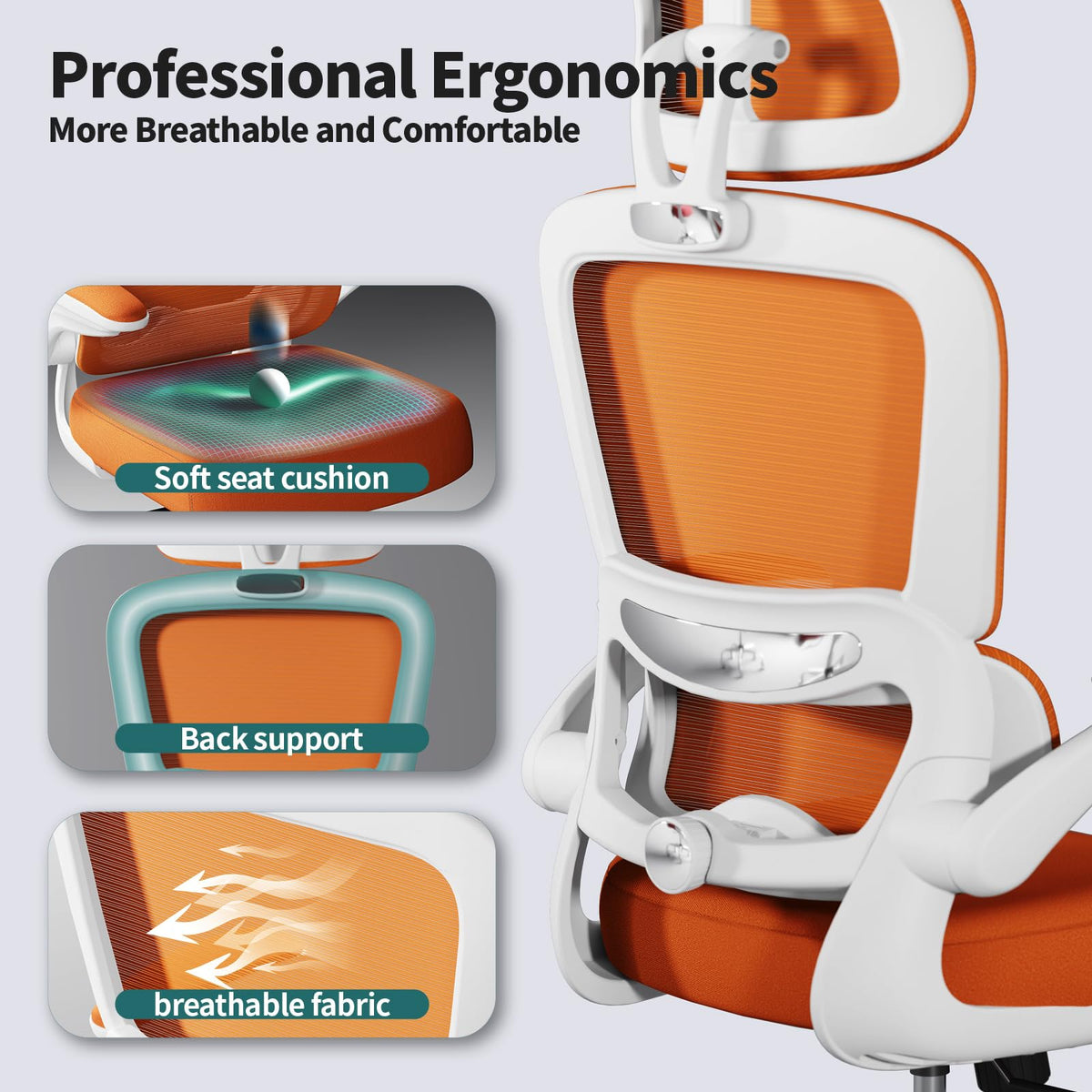 Ergonomic Office Chair with Lumbar Support C90437