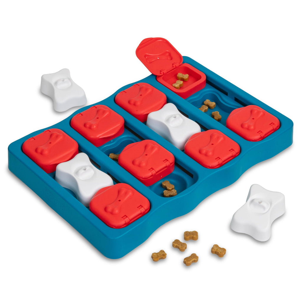 Dog Brick Dog Toy Treat Puzzle Y425723