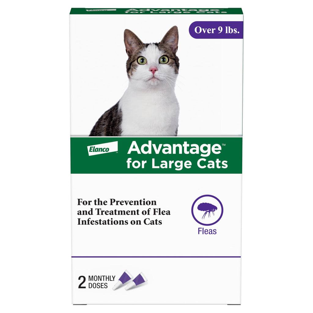 Topical Cat Flea Treatment and Prevention for Large Cats Over 9 lbs U862