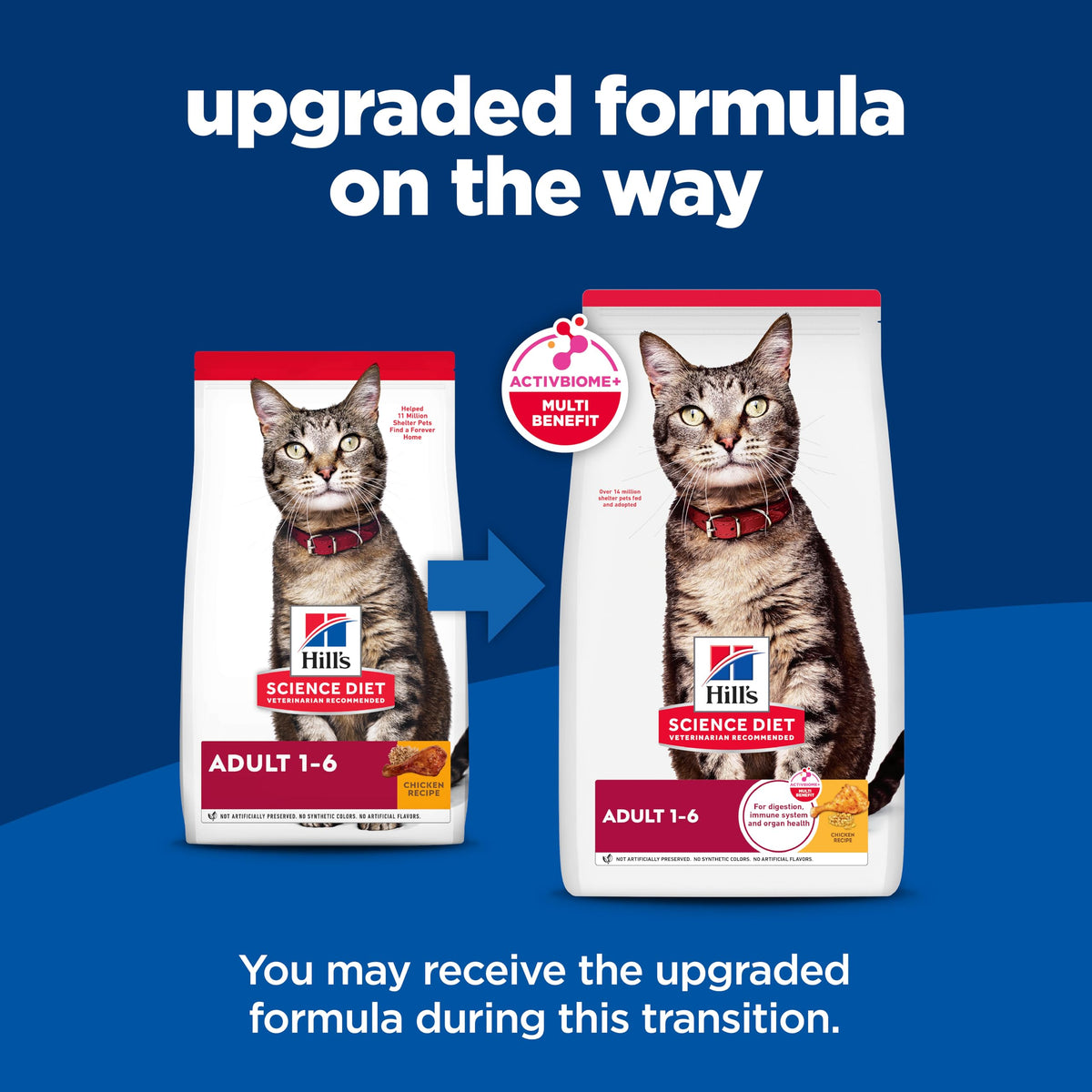 Dry Cat Food G48875