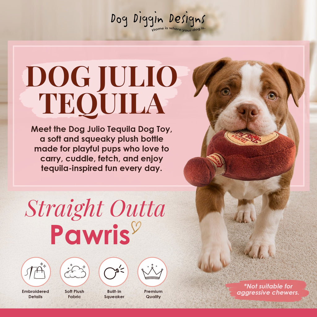 Plush Dog Toy with Squeaker Q525871