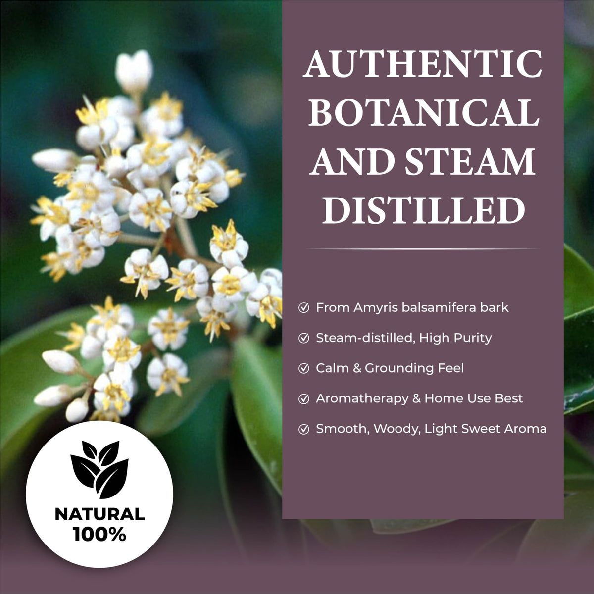 100% Natural Steam-Distilled Amyris Balsamifera Essential Oil 4 fl oz G327787