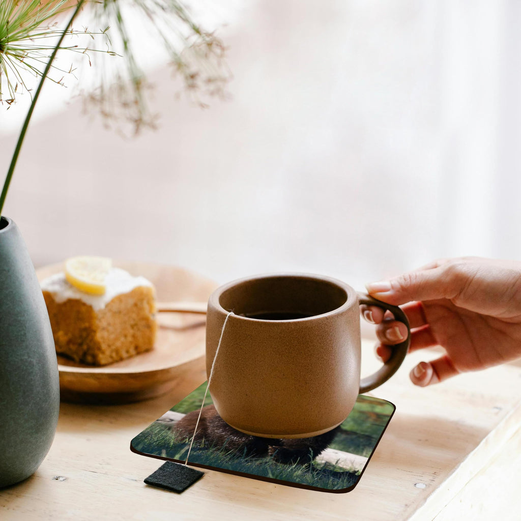 Set of 8 Cork Coasters D798