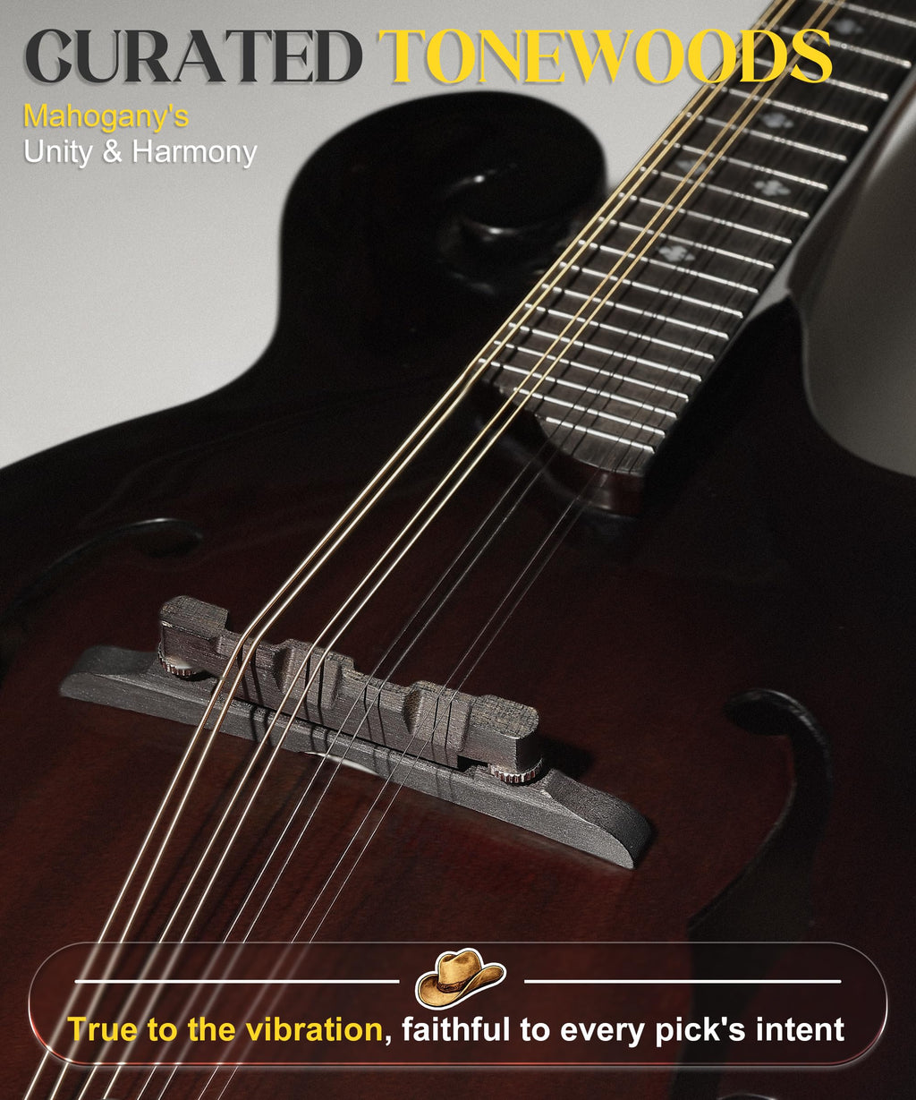 Hand-Carved Mahogany Acoustic Mandolin with Padded Bag R306346