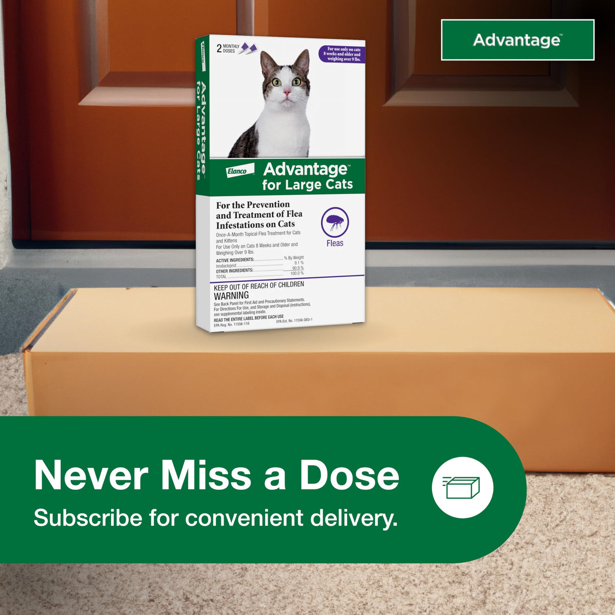 Topical Cat Flea Treatment and Prevention for Large Cats Over 9 lbs U862