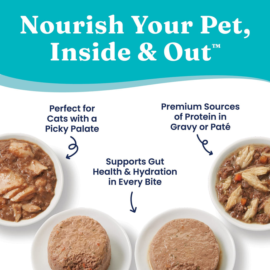 Salmon Dry Cat Food and Wet Cat Food Variety Pack K311617
