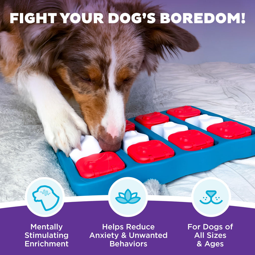 Dog Brick Dog Toy Treat Puzzle Y425723