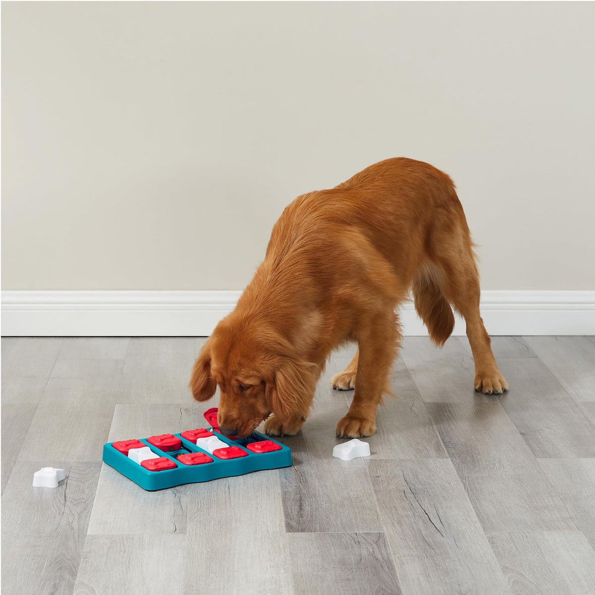 Dog Brick Dog Toy Treat Puzzle Y425723