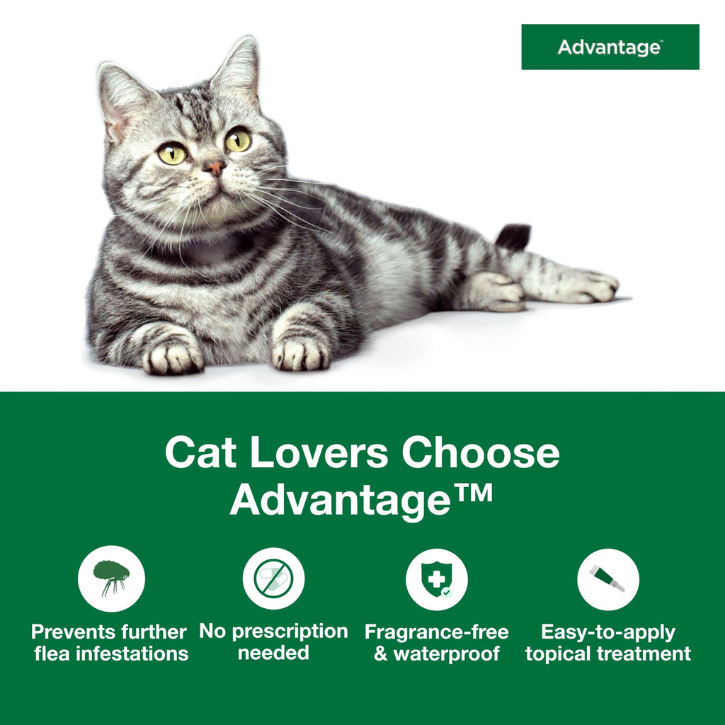 Topical Cat Flea Treatment and Prevention for Large Cats Over 9 lbs U862