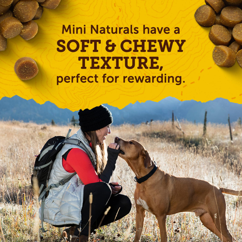 Real Peanut Butter Dog Training Treats 16 oz X158