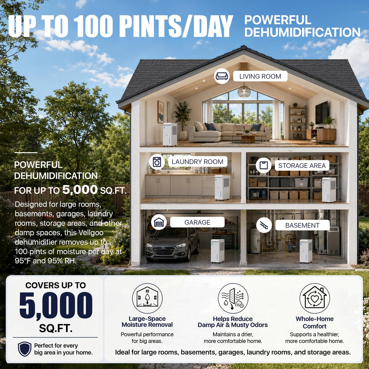 100 Pint/Day Dehumidifier C505136