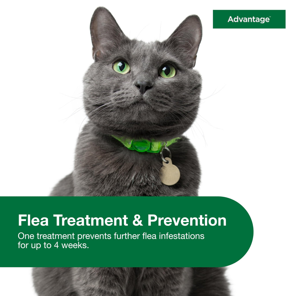 Topical Cat Flea Treatment and Prevention for Large Cats Over 9 lbs U862