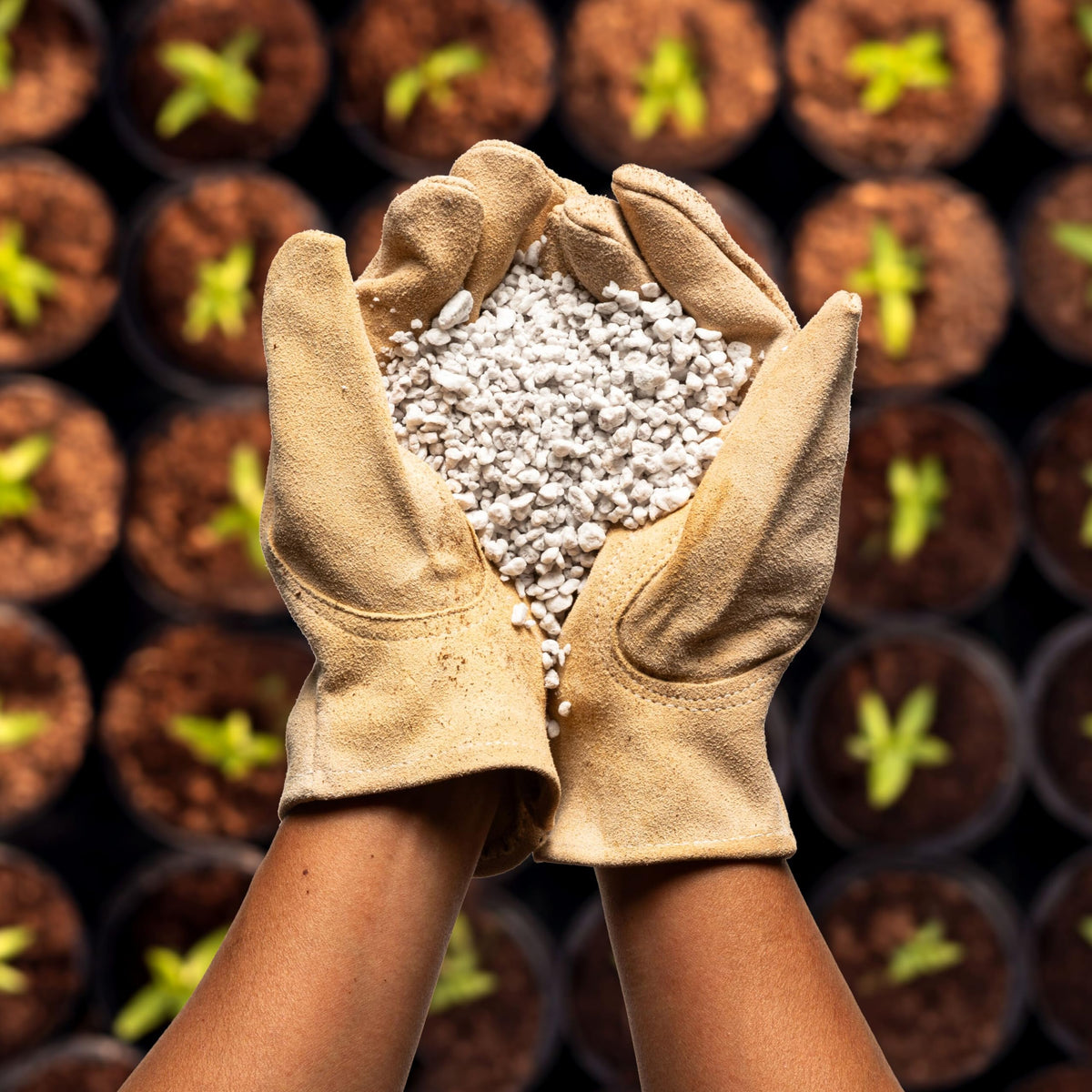 4 Cubic Ft Organic Perlite Soil Amendment R9013
