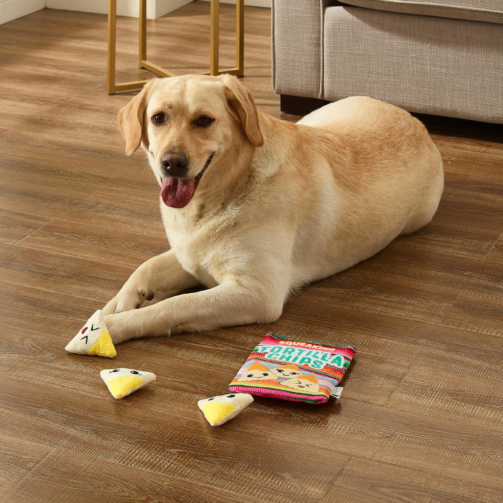 Tortilla Chips Puzzle Squeaky Dog Toys P92582