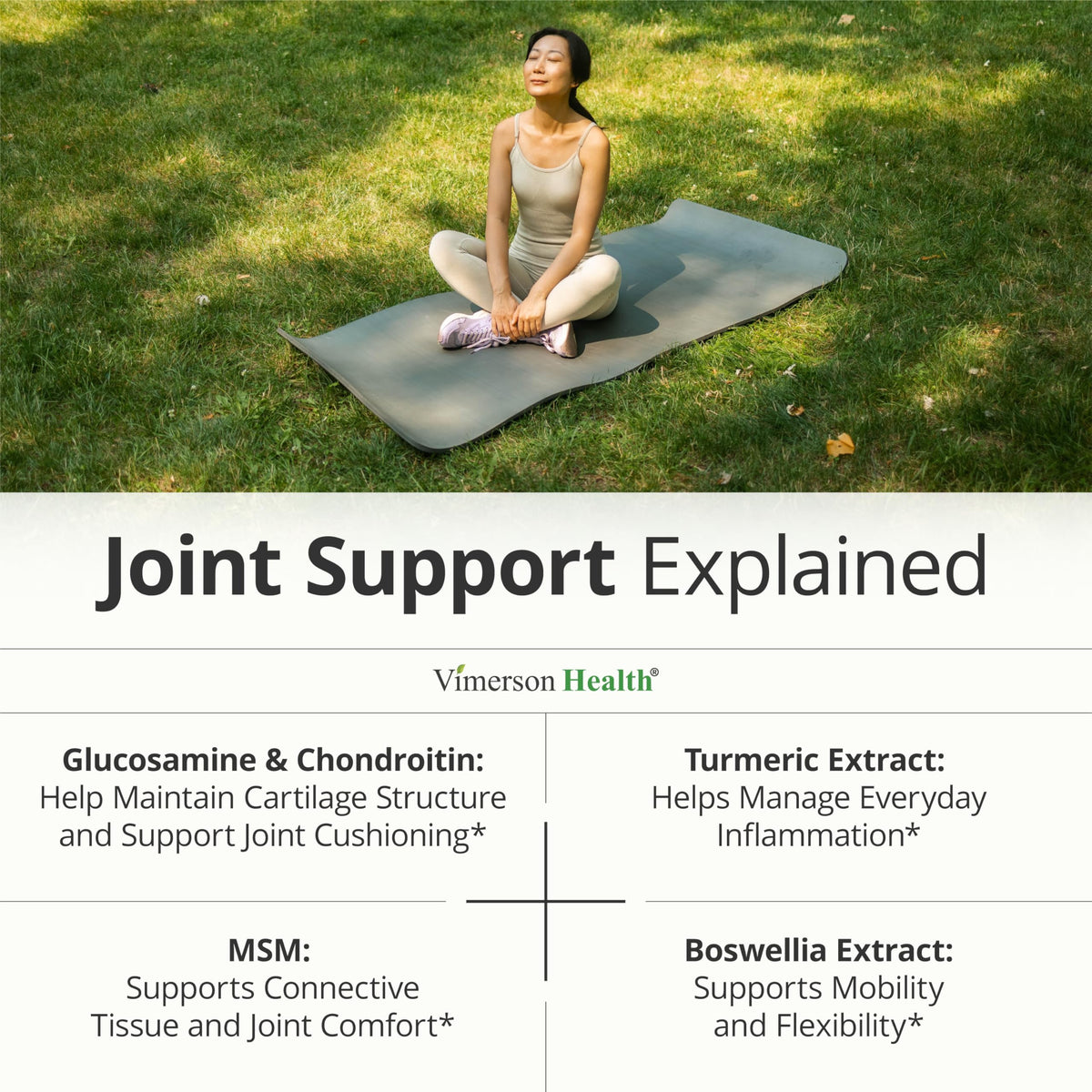 Glucosamine Chondroitin MSM Joint Support Supplement 90 Ct T590