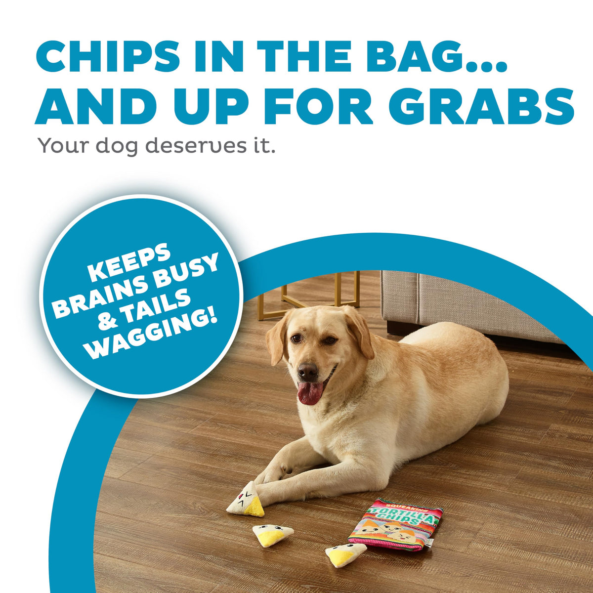 Tortilla Chips Puzzle Squeaky Dog Toys P92582